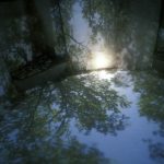 Proyección estenopeica del cielo y los árboles en una vista interior de la Cámara de Nubes de Chris Drury para los Árboles y el Cielo en el Parque NCMA