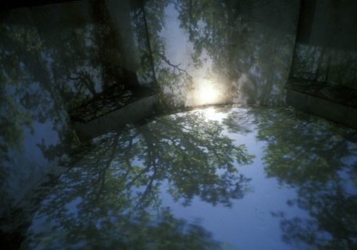 Pinhole projection of sky and trees in an interior view of Chris Drury's Cloud Chamber for the Trees and Sky in the NCMA Park