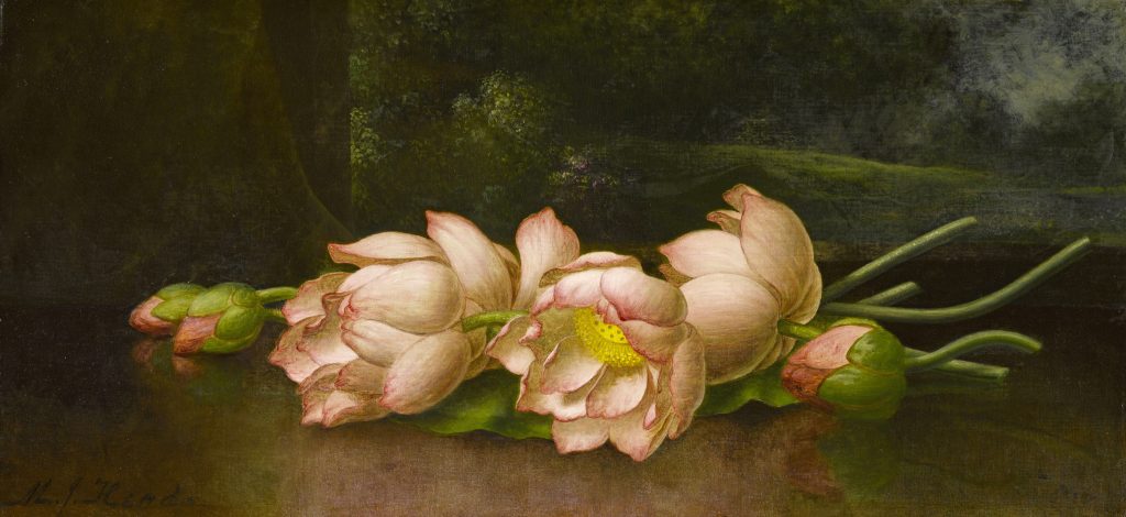 Martin Johnson Heade Lotus Flowers: A Landscape Painting in the Background Painting