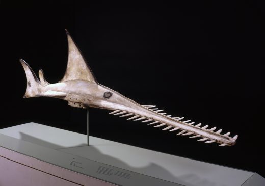 Niger River Delta artist sculpture Egbukele Society Headdress Mask
