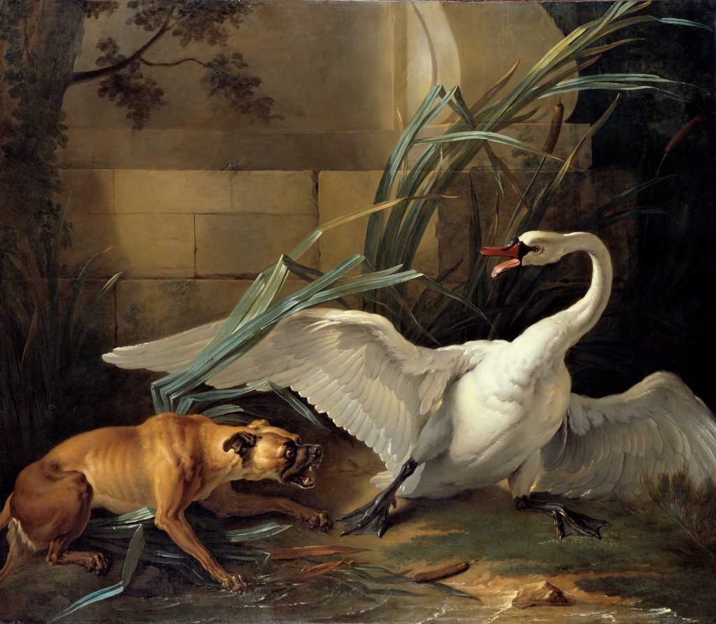 Pintura al óleo de Jean-Baptiste Oudry Cisne atacado por un perro