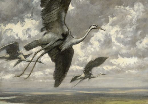 A painting of three storks flying above a German landscape. Puffy white and gray clouds fill the sky behind the birds. A river with a bridge across it is winding through the landscape below. The land on either side of the river is empty and mostly green. A thicket of green trees is depicted on the bottom right side of this scene.