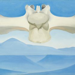 Georgia O'Keeffe Flying Backbone