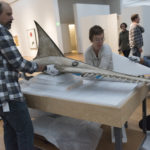 Installation of Helmet Mask, Sawfish (oki)