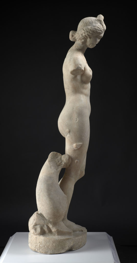 A marble statue of a nude goddess figure, missing both arms, with a dolphin figure at her feet.