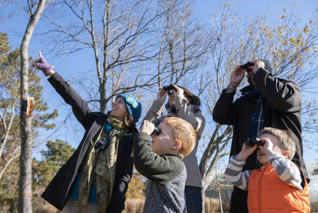 A group with several people looking through binoculars.