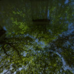 Pinhole projection of sky and trees in an interior view of Chris Drury's Cloud Chamber for the Trees and Sky in the NCMA Park.