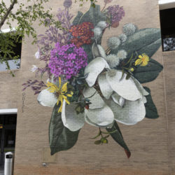 A large-scale mural of white, yellow, and pink flowers painted on a brick building.