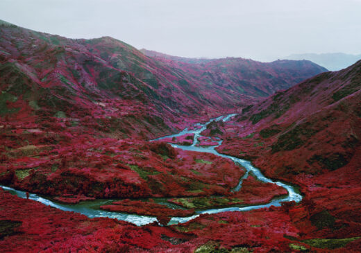 A photograph of a mountain landscape with a river running through the middle. The sky is colorless and foggy, and all of the plants and trees are bright red and pink.