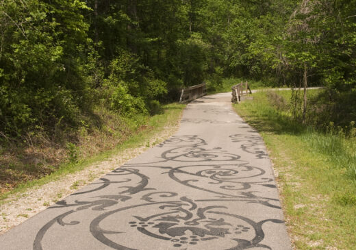 A paved trail with a black floral design painted on its surface