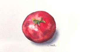 photorealistic watercolor painting of a tomato seen from above