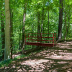 A dirt path leads to a red platform overlooking a wooded area
