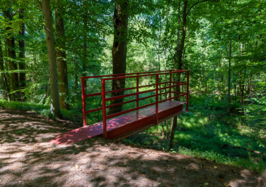 A dirt path leads to a red platform overlooking a wooded area