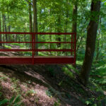 A red steel platform overlooks a wooded area