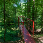 A dirt path leads to a red platform overlooking a wooded area