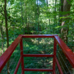 A red steel platform overlooks a wooded area