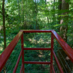 A red steel platform overlooks a wooded area