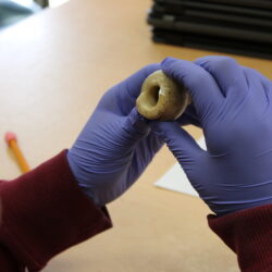 Gloved hands holding a small stone object